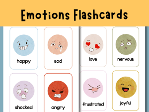 EYFS Emotions Flashcards x16