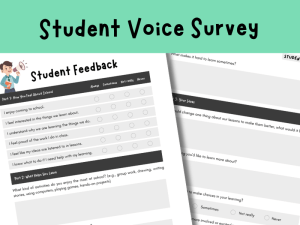 Primary Student Voice Survey