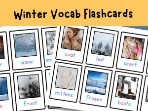 EYFS Winter Vocabulary Cards