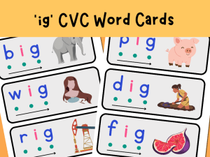 -ig Word Family Blending Cards