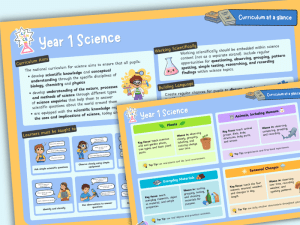 Year 1 Science Curriculum at a Glance