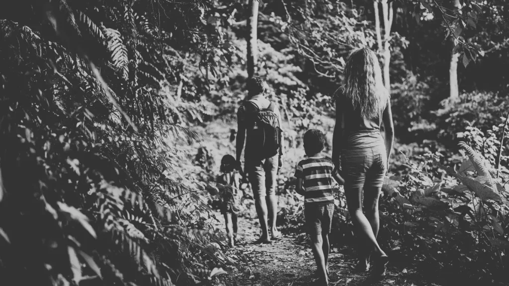 10 Home Education Activities That Build Connection nature walk