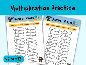 Multiplication Practice Sheets
