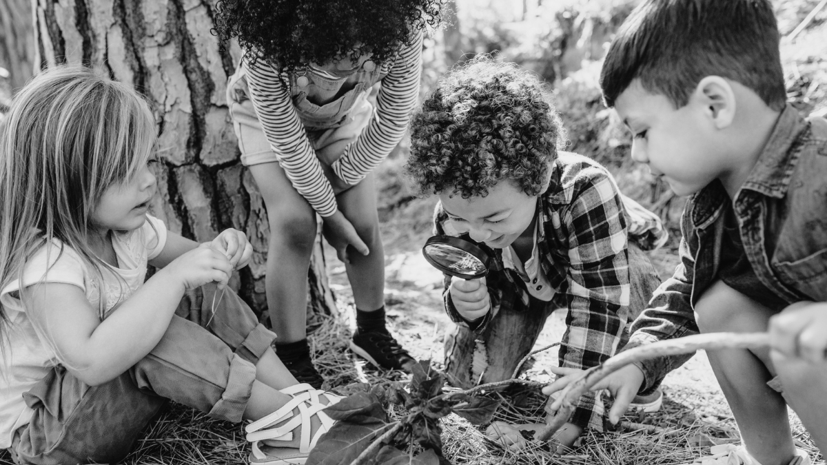 what is home education blog header image