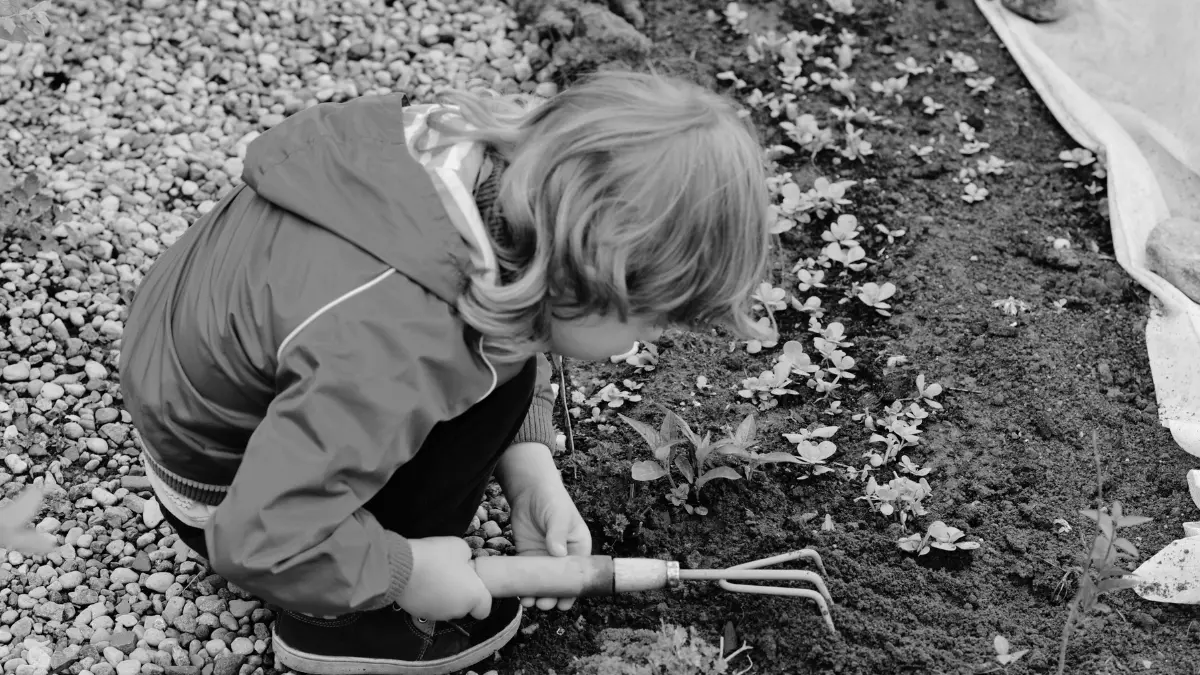 is home education right for my child? blog