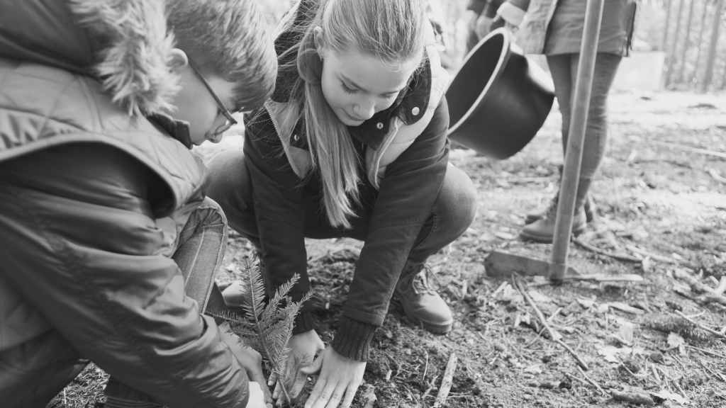 home educating kids in forest