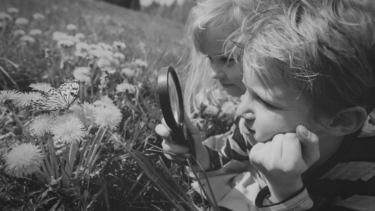 Two young children using a magnifying glass to observe a butterfly in the grass during an outdoor learning moment.
